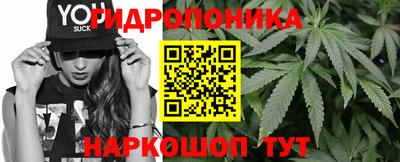 мяу мяу мука Гусиноозёрск